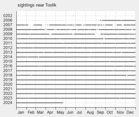 Recorded sightings of '+info.common_name+' in the Toolik area